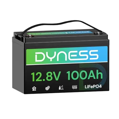 Dyness 12V 100Ah lithium battery with low-temperature protection for RVs